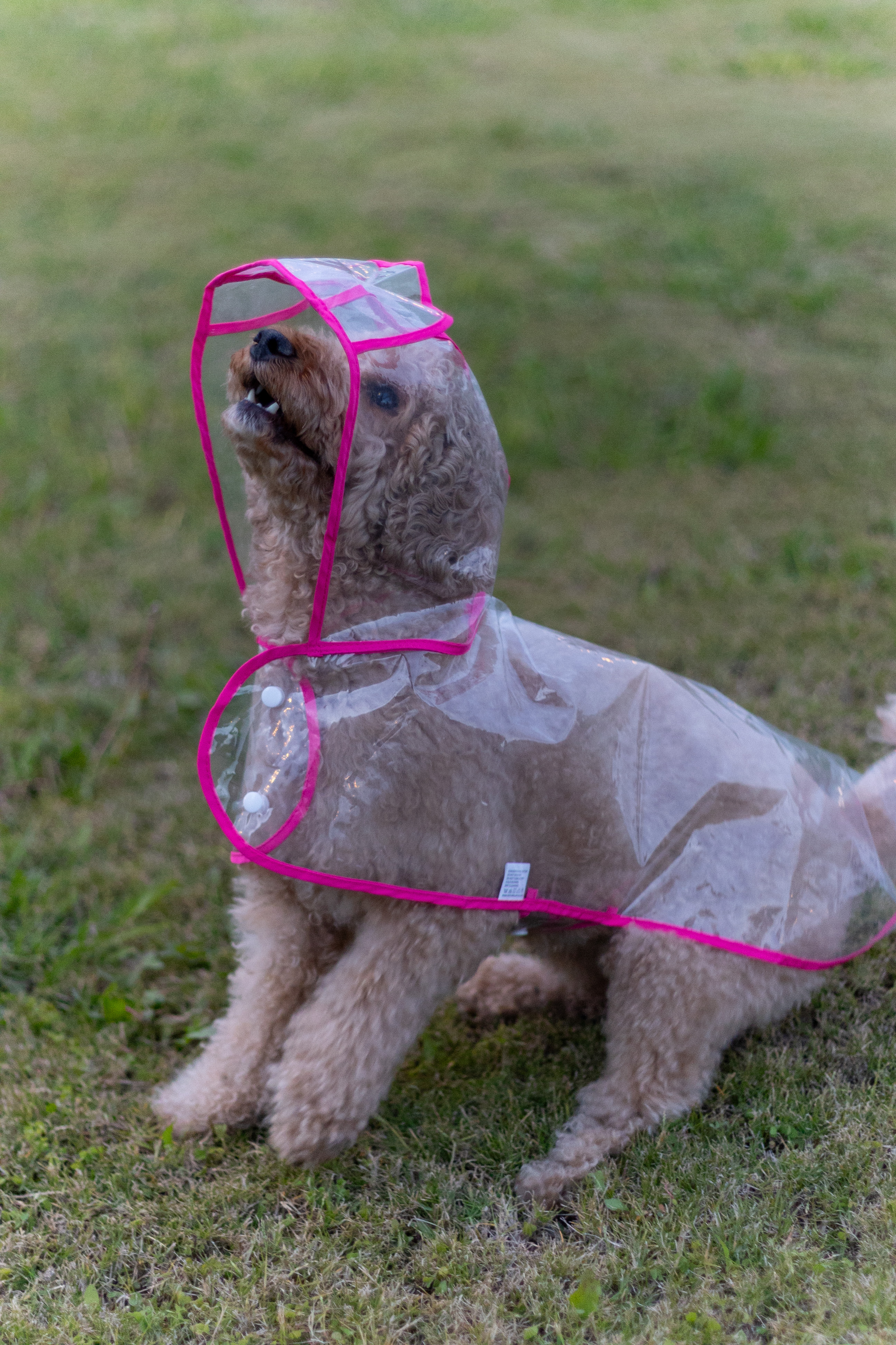 waterproof raincoat coat 3