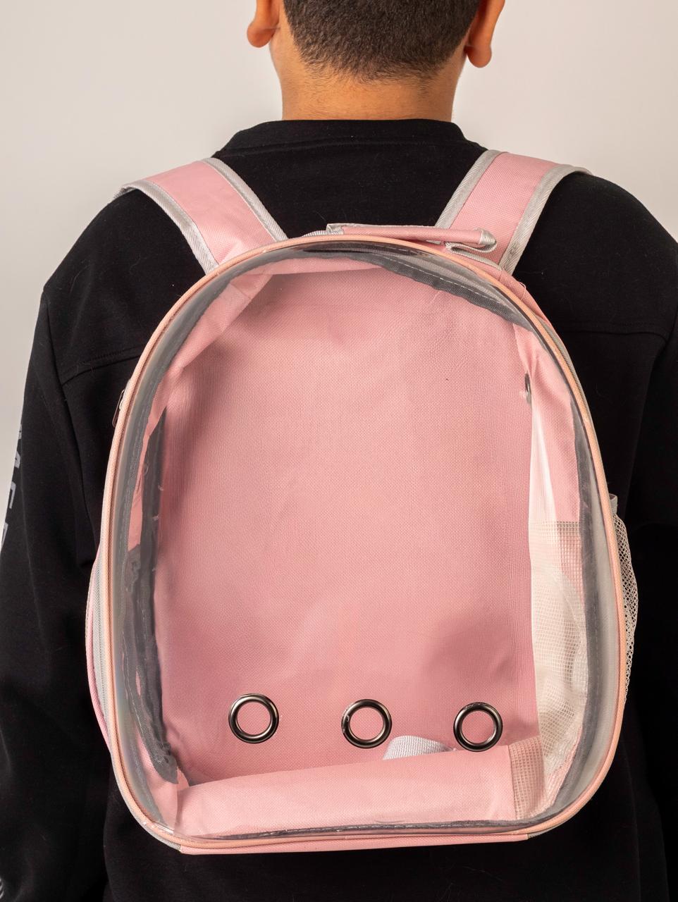 Cat Backpack 2