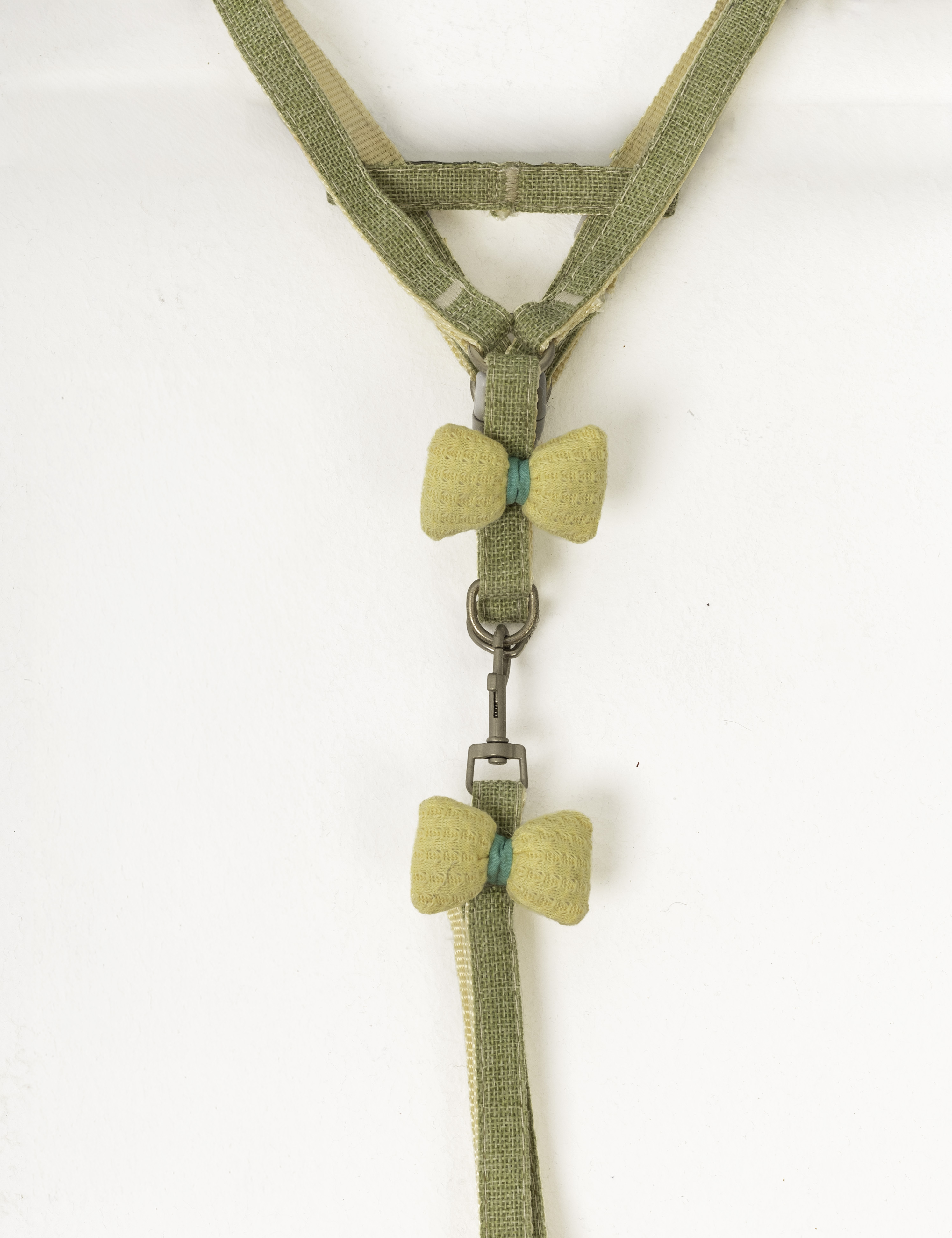 CUTE harness & leash 2