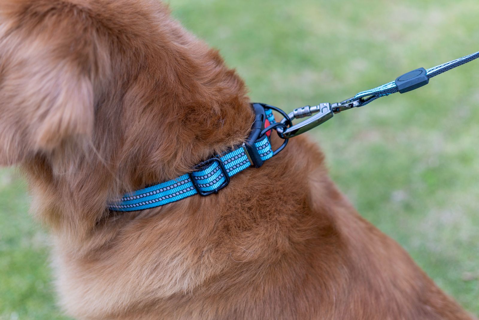 Heavy Duty Reflective Dog Leash & Collar Set with Ergonomic Handle 3